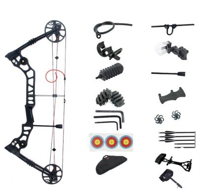 China Professional Archery TIR Compound Bow Set Outdoor Arrow Hunting Compound Bow X8 Package for sale