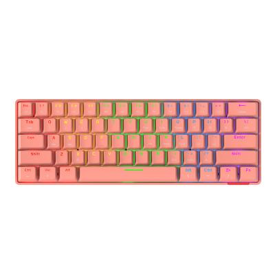 China New Rainbow STK61 Wireless Lights BT 3.0 MINI Dual Mode Compact Key Mechanical 61 Game Wired Wireless Keyboard for sale