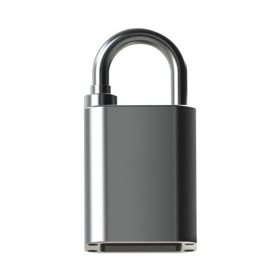 China Factory Selling Various 304 Stainless Steel High Precision High Durable High Security Padlock 30mm Widely Used Security Good Quality for sale