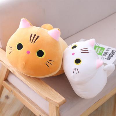 China Cute Lovely Cartoon Amazon Gift Cat Doll Round Eyed Kitten Plush Pillow Gift Stuffed Toy Manufacturer Wholesale for sale