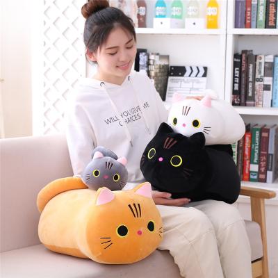 China Cute Lovely Cartoon Amazon Gift Cat Doll Round Eyed Kitten Plush Pillow Gift Stuffed Toy Manufacturer Wholesale for sale