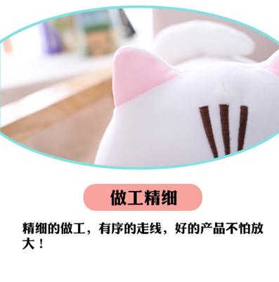 China Cute Lovely Cartoon Amazon Gift Cat Doll Round Eyed Kitten Plush Pillow Gift Stuffed Toy Manufacturer Wholesale for sale