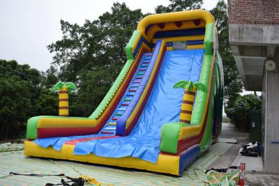 China Simple Large Inflatable Dry Slide / Bright Colour Palm Tree Slides for sale