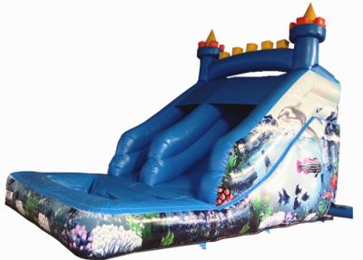 China Pequeño tobogán de agua inflable del mini castillo El tobogán de agua inflable pequeño del castillo congelado para niños menores de 8 años en venta