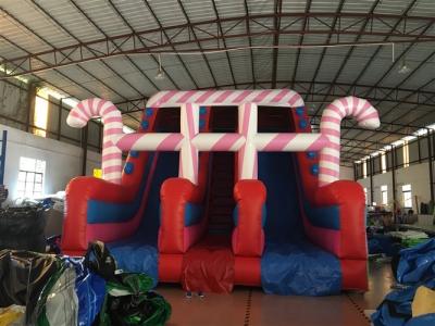 China Impresión de pantalla de seda de diapositiva seca inflable de circo al aire libre e interior en venta