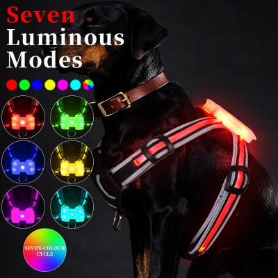 China Viable Dog Accessories Light Up Dog Harness Led Usb Rechargeable Dog Harnesses Lace Up Strong Nylon CC Simon for sale