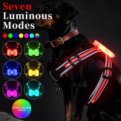 China Viable Custom Logo Dog Harness Rechargeable For Large Dog Slip Leads For Thoughtful Dogs for sale