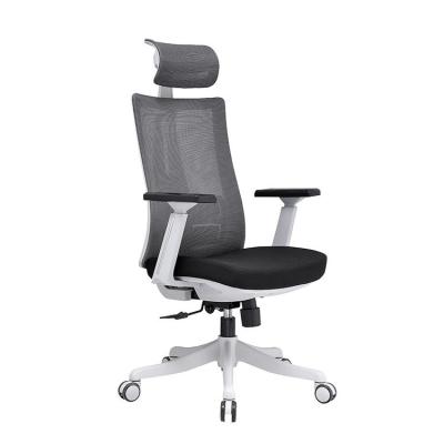 China (Height) Adjustable Adjustable Modern Ergonomic Computer Desk Mesh Chair With Caster Wheel for sale