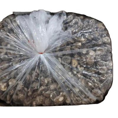 China Bulk Packed Dry Dried Organic Shiitake Mushroom --10kgs for sale