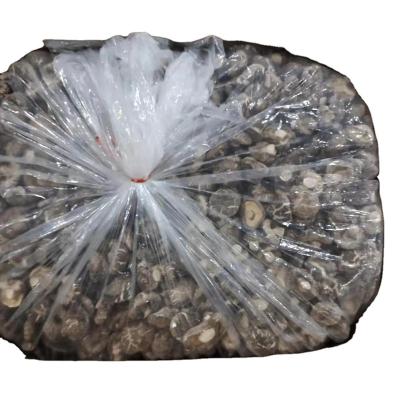 China 1KGS lkg small dry bag packed bulk dry organic shiitake mushroom for sale