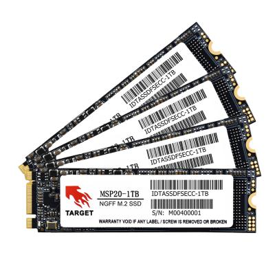 China SSD Target 1TB Large Capacity M.2 SATA 256g NGFF Drive Solid State Disk for sale