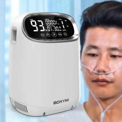 China Homecare Mini Portable Medical Grade 1L 2L 3L 5L 10L Liter 1L 2L 3L 5L 10L Adjustable Oxygen Oxygen Nebulizer Oxygen Generator Concentrator Te koop