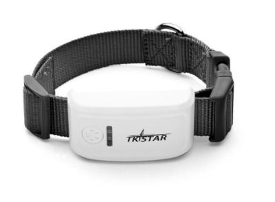 China TK Star Pet GPS Trakcer with Collar TK909 SOS Alarm Water Proof for sale