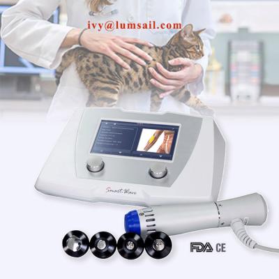 China Calf Musculoskeletal Muscle Pain Tendon Achilles Diseases Shock Wave Therapy Veterinary Medical Equipment for Veterinary Medicine Applications for sale