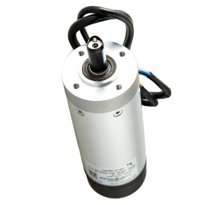 China 24 volt100w swing gate drip proof servo motors for sale