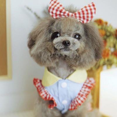 China 2022 Viable Fashionable Pet Things Fashion Dog Clothes Cute Plaid Mesh Skirt Pet Supplies Daily Casual Skirt for sale