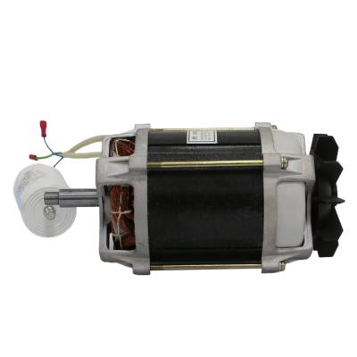 China Aoer 400Watt 220V AC Electric Motor Totally Enclosed Universal Sale for sale