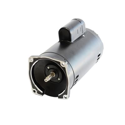 China Commercial Buildings Aoer Single Phase Swimming Pool Water Pump Motor Price for sale