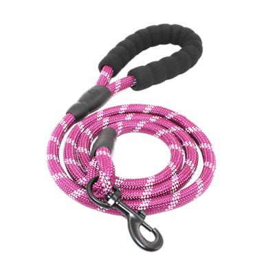 China Viable Factory Direct Supply Kingtale Pet Accessories Reflective Nylon Paracord Climbing Pet Leash for sale