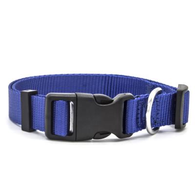 China Kingtale Viable Basic Classic Dog Competitive Nylon Pet Collar With Plastic Buckle Personalized Pet Collars for sale