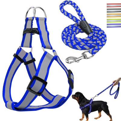 China Sustainable Thoughtful Dog Harness Step-in PP Dog Harness With Leash Set XS S M L Safety for sale