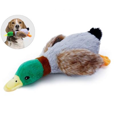 China Kingtale Simulation Wild Duck Plush Puppy Chew Toy Pet Mallard Duck Dog Stocked Squeaky Toy 28cm for sale