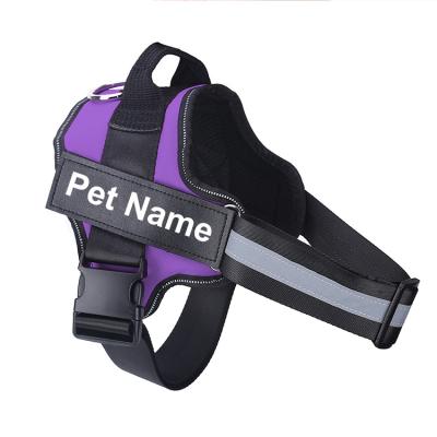 China Personalized Soft Chain Dog Harness Mesh Padding Dog Harness Set Pet Luxury Reflective Vest for sale