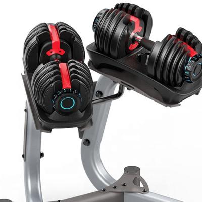 China Universal Iron Unisex Straight Adjustable Dumbbells for Weightlifting and Fitness for sale