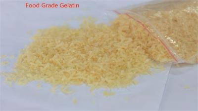 China White Protein Food Edible Gelatin Powder 90% High Viscosity en venta