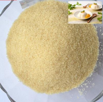 Chine Iso Food Cattle Unflavoured Gelatin Powder 220 Bloomg White à vendre