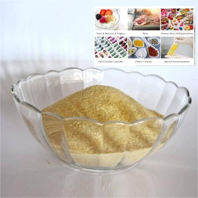 China Unflavored Gelatin Edible Powder Haccp Certified for sale