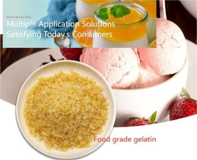 China Haccp Unflavoured Gelatin Powder 25kg/Bag in Food Safety Management System à venda