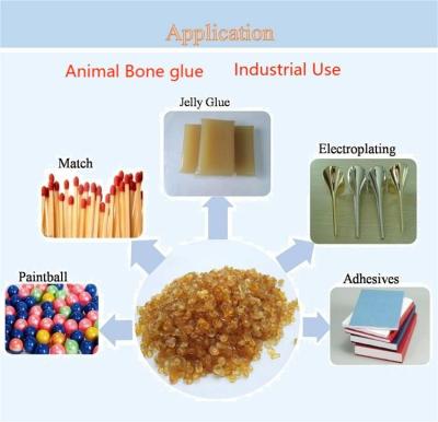 Cina Gelatina tecnica 100% attraverso 60 maglie immagazzinata in luogo fresco e asciutto in vendita