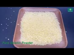 Edible Pure Gelatin Powder 370 kcal High Protein CAS 9000 70 8