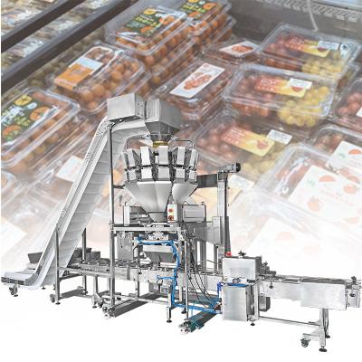 Китай Industrial Small Fruit Packaging Machinery Automatic Bottle Sensoning Pellet Filling Machine продается