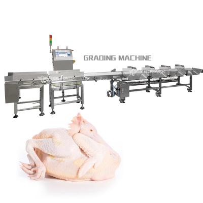 Κίνα PLC Automatic Weight Sorting Machine Chicken Whole Meat Grading Machine προς πώληση