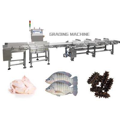 Κίνα SUS 316 Weight Sorting Machine For Seafood Fish Fruits Vegetables προς πώληση