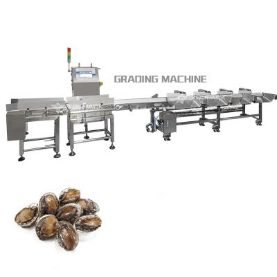 Κίνα Industry Automatic Weight Sorting Machine Conveyor Belt Chicken Shrimp Fruits Vegetables Weight Sorter προς πώληση