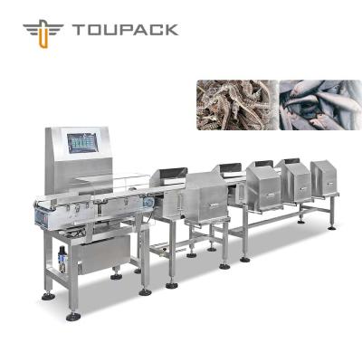 Κίνα Tilapia Aquaculture Fish Grading Machine 8 Channel Weight Grading Machine προς πώληση