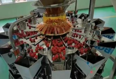 Cina Sistema d'imballaggio di pesatura del pesatore di SUS304 Multihead ed automatico per Cherry Frozen Fruits In Boxes in vendita