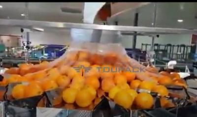 China Automatische orange Obst- und GemüseVerpackmaschine mit Netz zu verkaufen