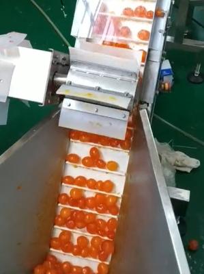 Chine Jaune de emballage sous vide de machine de peseur multi assortissant et donnant le projet à vendre