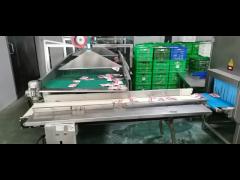 X Ray Metal Detector X-Ray Food Scanner For Metal Can Products With Rejectors X-Ray Scanner