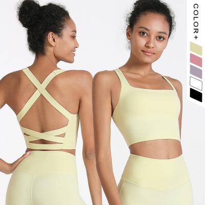 China New Trend Breathable Cross-Cross Sports Quick Dry Crop Top Straight Neck Tank Top Sports Backless Yoga Bra Fitness Bra For Women for sale