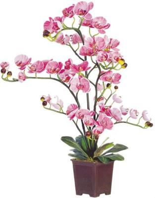 China Artificial Fabric Orchid Flowers for sale