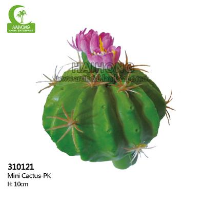 China High Wholesale Minimalist Everlasting Popular 10cm Mini Simulation Cactus For Home Decor for sale