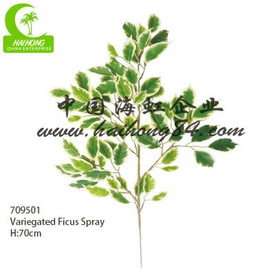 China Eco - Friendly Wholesale Artificial Ficus Leaves Ficus Spray For Decoration for sale