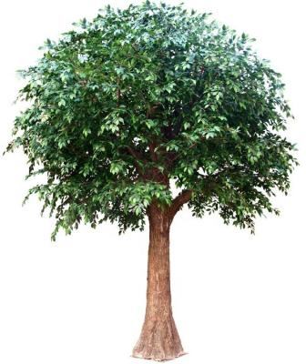 China 2021 Hot Selling Artificial Large Artificial Ficus Tree Theme Park Plant Eco-friendly Materials Landscaping Decoration for sale