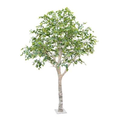 China Farm Wholesale 220cm Artificial White Birch Tree For Outdoor Decoration for sale