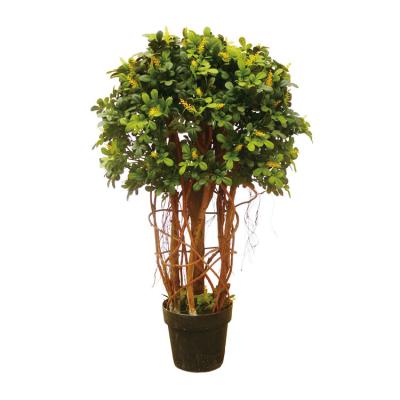 China Wholesale High Quality Lifelike Plant Boxwood Tree With Multi Trunks For Decoration for sale